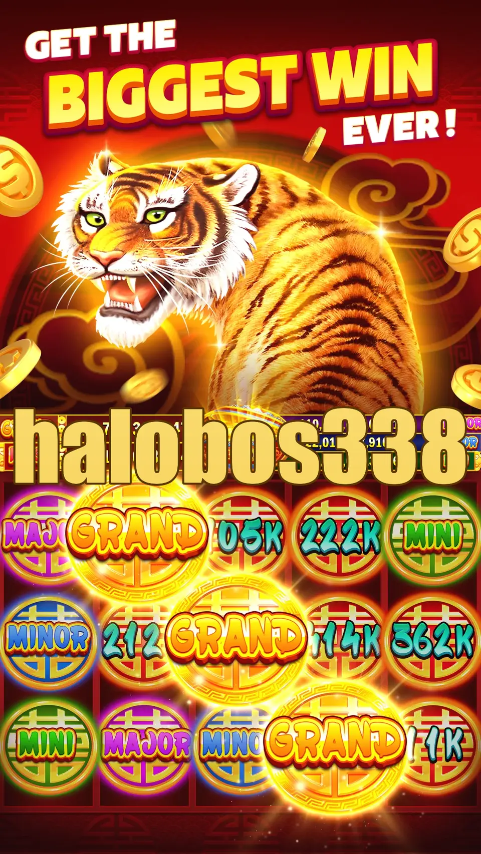 halobos338 Tangkapan Layar Resmi APK